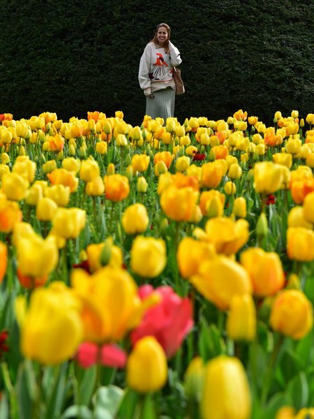 Tour Image
