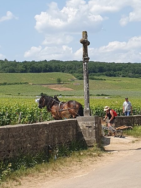 Tour Image