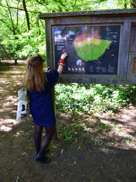 Tour Image
