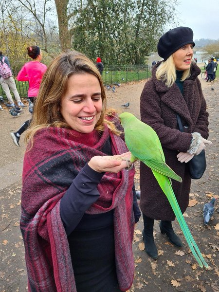 Tour Image