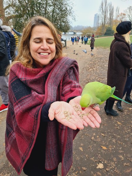 Tour Image