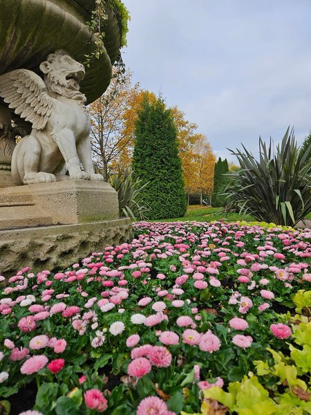 Tour Image