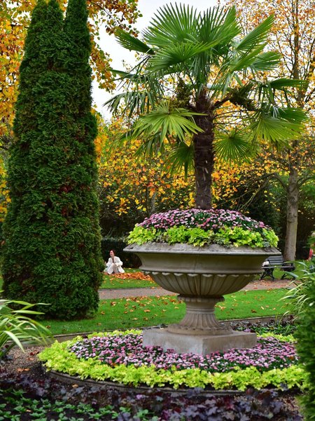 Tour Image