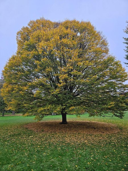 Tour Image