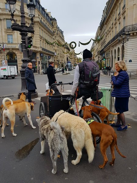 Tour Image