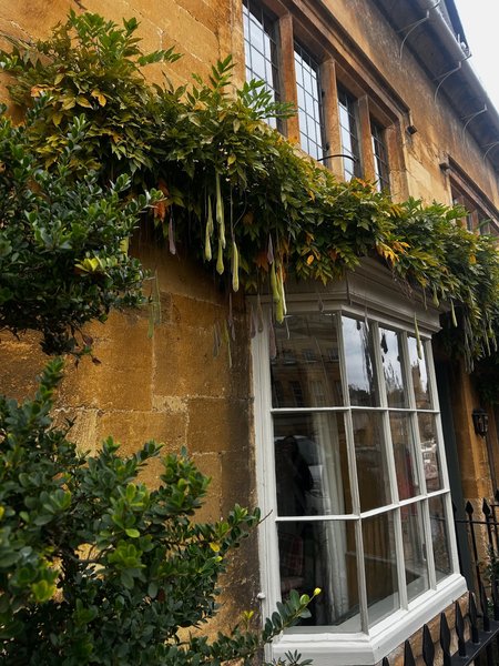 Tour Image