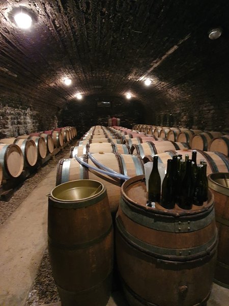 Tour Image
