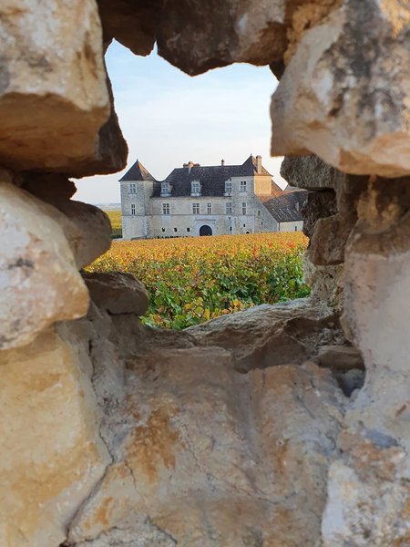 Tour Image